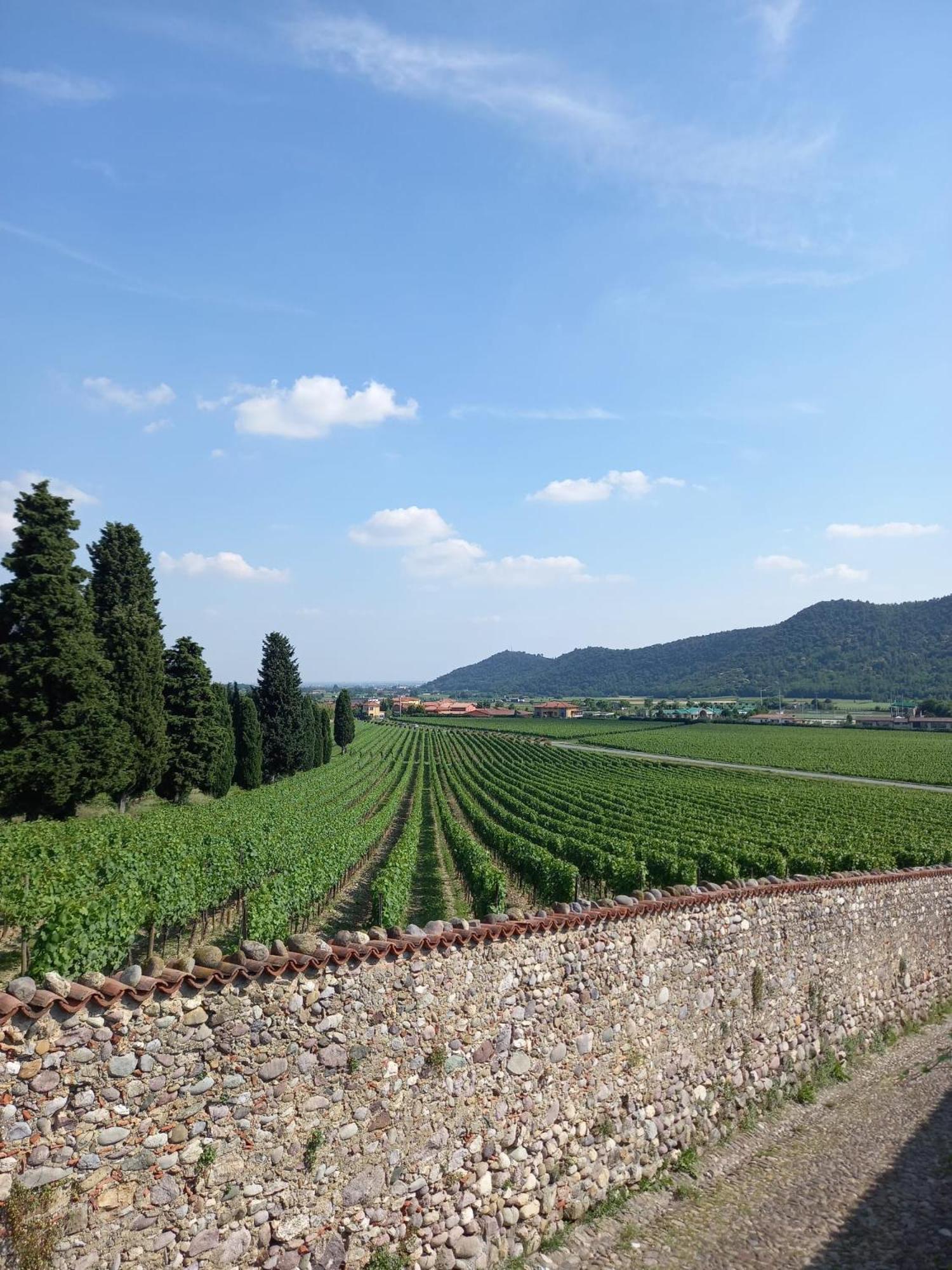 La Corte Del Bona - Vicino Alle Cantine E A Circa 15 Minuti Dal Lago Di Iseo - Apartment Erbusco Exterior photo